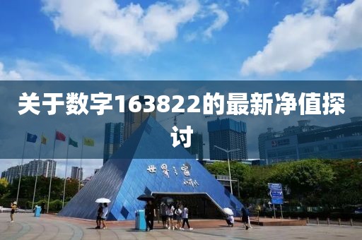 关于数字163822的最新净值探讨