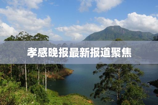 孝感晚报最新报道聚焦