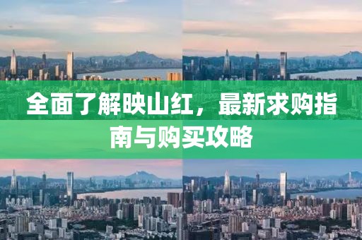 全面了解映山红，最新求购指南与购买攻略