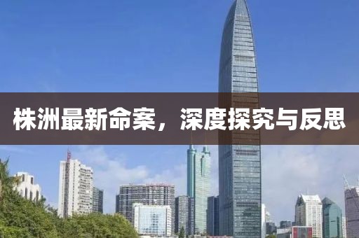 株洲最新命案，深度探究与反思