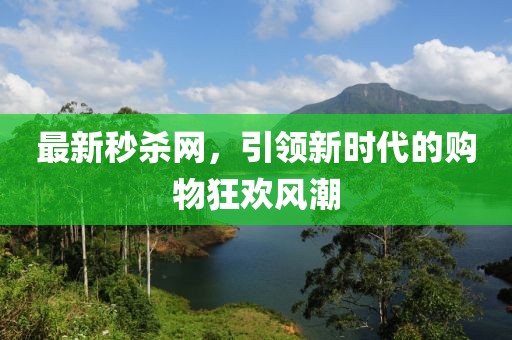 最新秒杀网，引领新时代的购物狂欢风潮