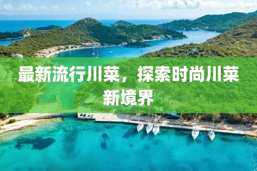 最新流行川菜，探索时尚川菜新境界