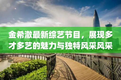 金希澈最新综艺节目，展现多才多艺的魅力与独特风采风采