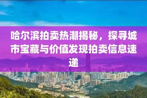 哈尔滨拍卖热潮揭秘，探寻城市宝藏与价值发现拍卖信息速递
