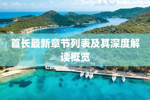 首长最新章节列表及其深度解读概览