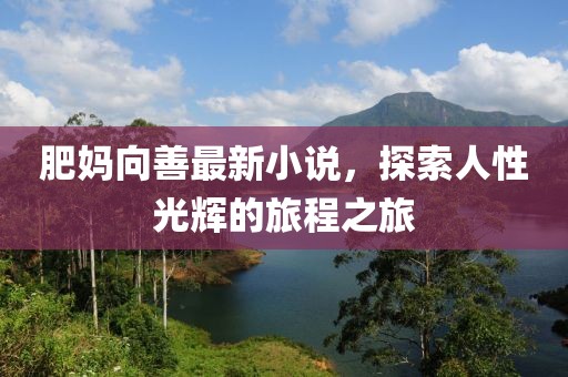 肥妈向善最新小说，探索人性光辉的旅程之旅