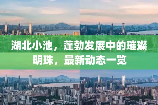 湖北小池，蓬勃发展中的璀璨明珠，最新动态一览