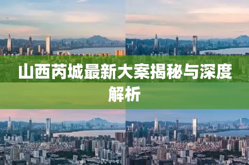 山西芮城最新大案揭秘与深度解析