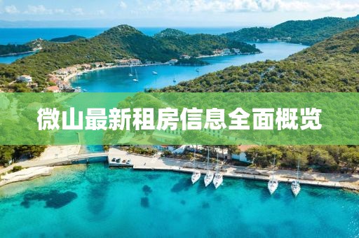 微山最新租房信息全面概览