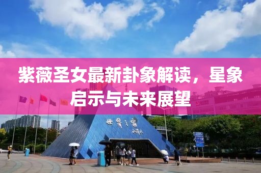 紫薇圣女最新卦象解读，星象启示与未来展望