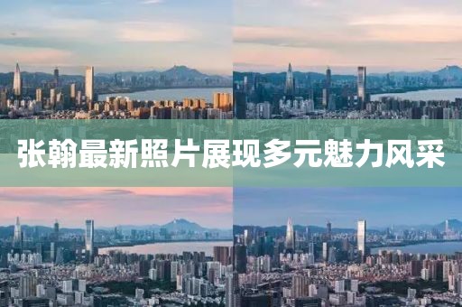 张翰最新照片展现多元魅力风采