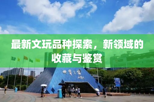 最新文玩品种探索，新领域的收藏与鉴赏