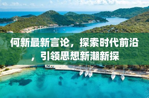 何新最新言论，探索时代前沿，引领思想新潮新探