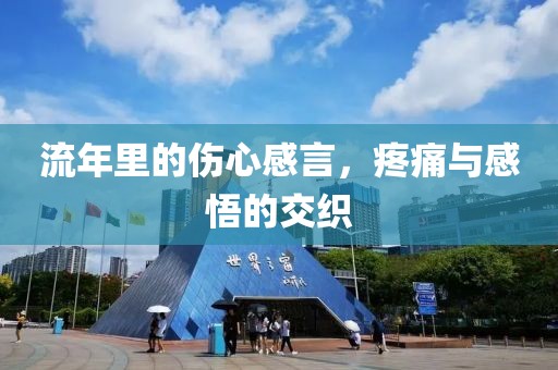 流年里的伤心感言，疼痛与感悟的交织