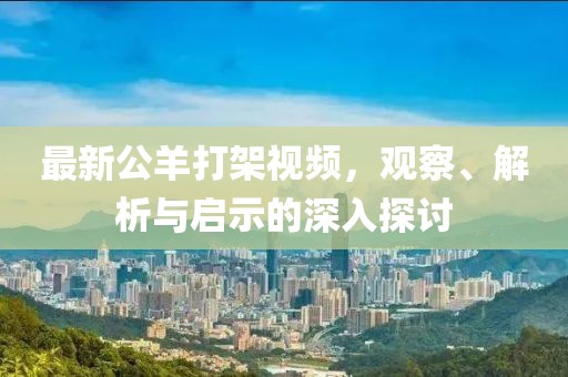最新公羊打架视频，观察、解析与启示的深入探讨