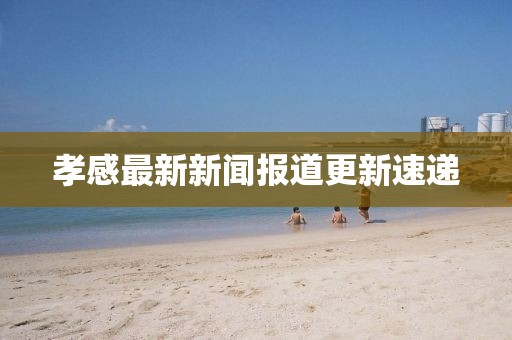 孝感最新新闻报道更新速递