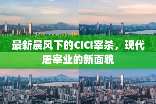 最新晨风下的CICI宰杀，现代屠宰业的新面貌