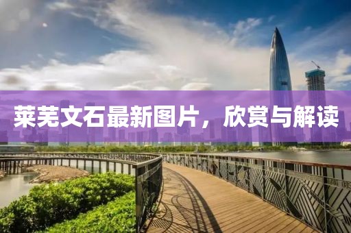 莱芜文石最新图片，欣赏与解读