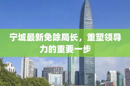 宁城最新免除局长，重塑领导力的重要一步