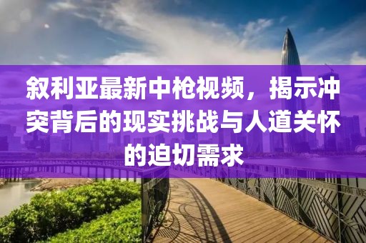 叙利亚最新中枪视频，揭示冲突背后的现实挑战与人道关怀的迫切需求
