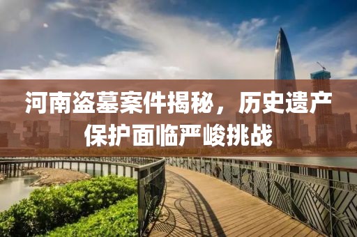 河南盗墓案件揭秘，历史遗产保护面临严峻挑战