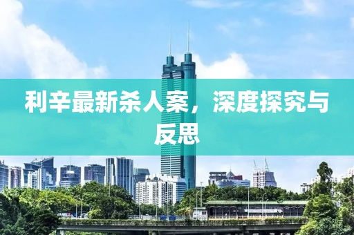 利辛最新杀人案，深度探究与反思