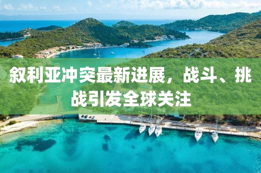 叙利亚冲突最新进展，战斗、挑战引发全球关注