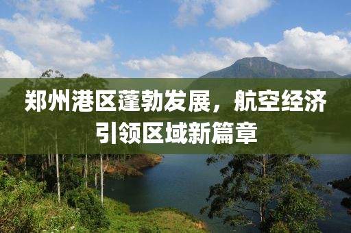 郑州港区蓬勃发展，航空经济引领区域新篇章