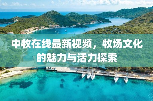中牧在线最新视频，牧场文化的魅力与活力探索