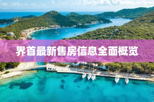 界首最新售房信息全面概览