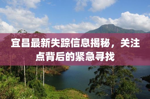 宜昌最新失踪信息揭秘，关注点背后的紧急寻找