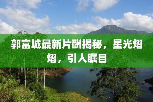 郭富城最新片酬揭秘，星光熠熠，引人瞩目
