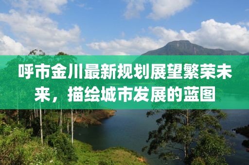呼市金川最新规划展望繁荣未来，描绘城市发展的蓝图