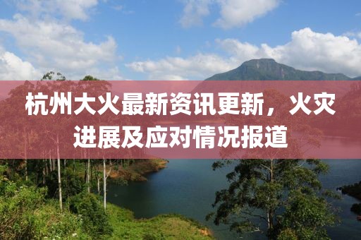 杭州大火最新资讯更新，火灾进展及应对情况报道