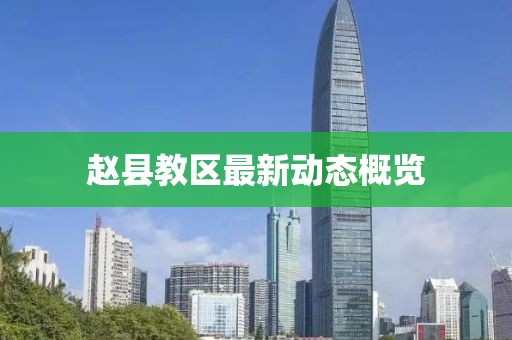 赵县教区最新动态概览