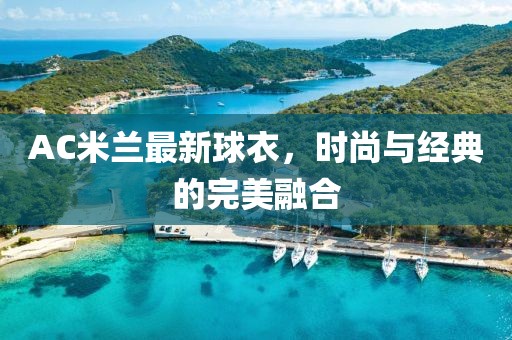 AC米兰最新球衣，时尚与经典的完美融合