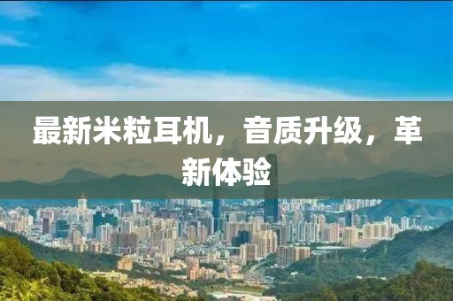 最新米粒耳机，音质升级，革新体验