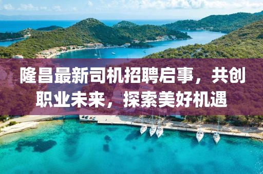 隆昌最新司机招聘启事，共创职业未来，探索美好机遇