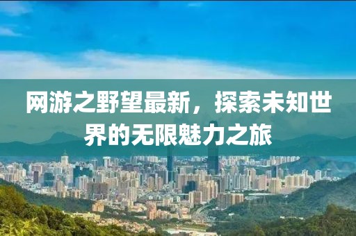 网游之野望最新，探索未知世界的无限魅力之旅