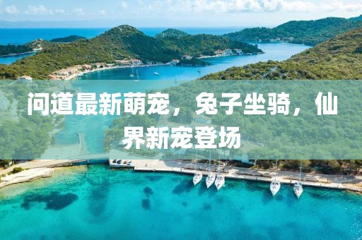问道最新萌宠，兔子坐骑，仙界新宠登场
