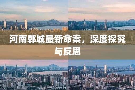 河南郸城最新命案，深度探究与反思