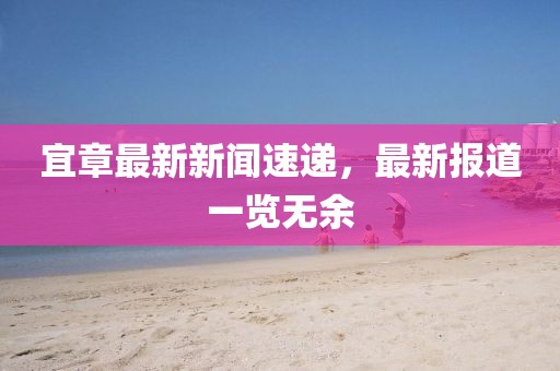 宜章最新新闻速递，最新报道一览无余