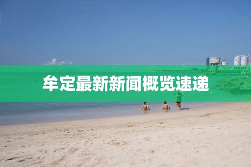 牟定最新新闻概览速递