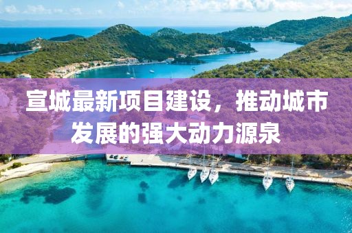 澳门精准资料 第33页