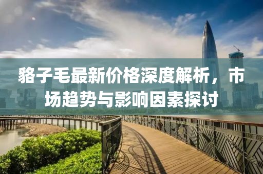貉子毛最新价格深度解析，市场趋势与影响因素探讨