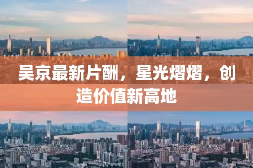 吴京最新片酬，星光熠熠，创造价值新高地