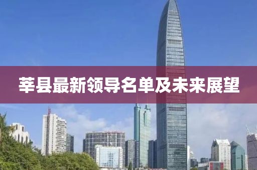 莘县最新领导名单及未来展望