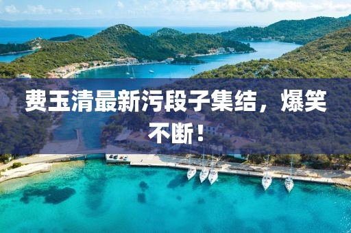 费玉清最新污段子集结，爆笑不断！