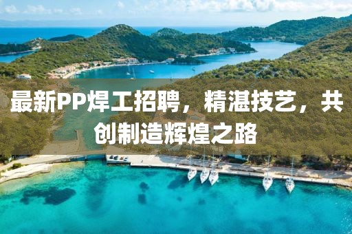 最新PP焊工招聘，精湛技艺，共创制造辉煌之路