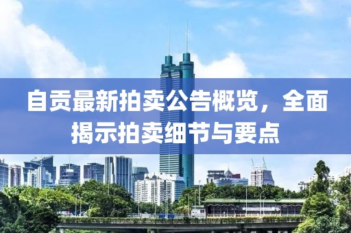自贡最新拍卖公告概览，全面揭示拍卖细节与要点